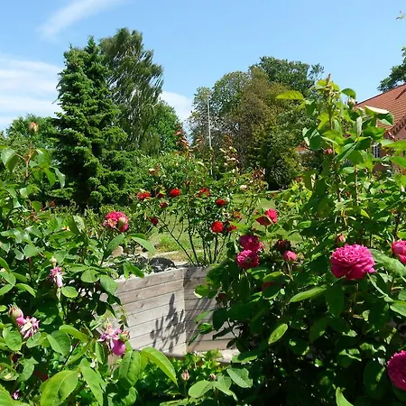 Esters House * Stubbekøbing